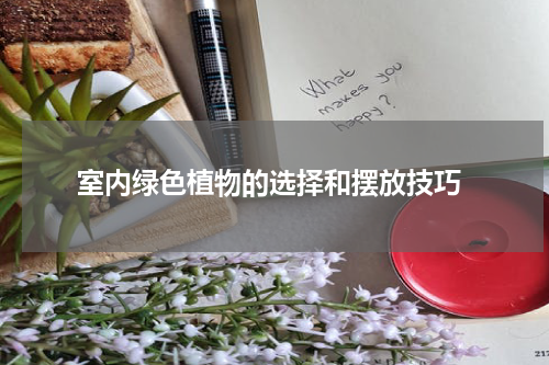室内绿色植物的选择和摆放技巧