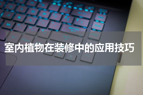  室内植物在装修中的应用技巧