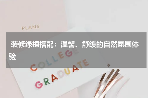  装修绿植搭配：温馨、舒缓的自然氛围体验