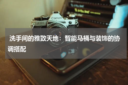 洗手间的雅致天地:智能马桶与装饰的协调搭配