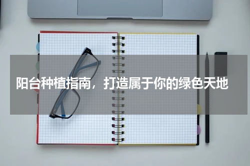  阳台种植指南，打造属于你的绿色天地