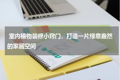  室内植物装修小窍门，打造一片绿意盎然的家居空间