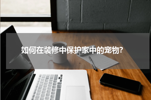 如何在装修中保护家中的宠物?