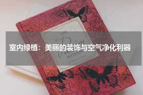  室内绿植：美丽的装饰与空气净化利器