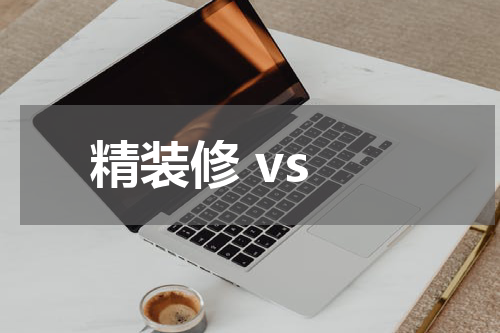 精装修 vs