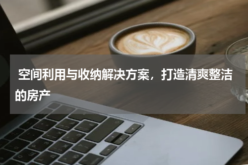  空间利用与收纳解决方案，打造清爽整洁的房产