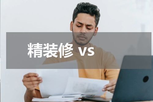 精装修 vs
